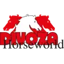 Logo Divoza Horseworld Staphorst