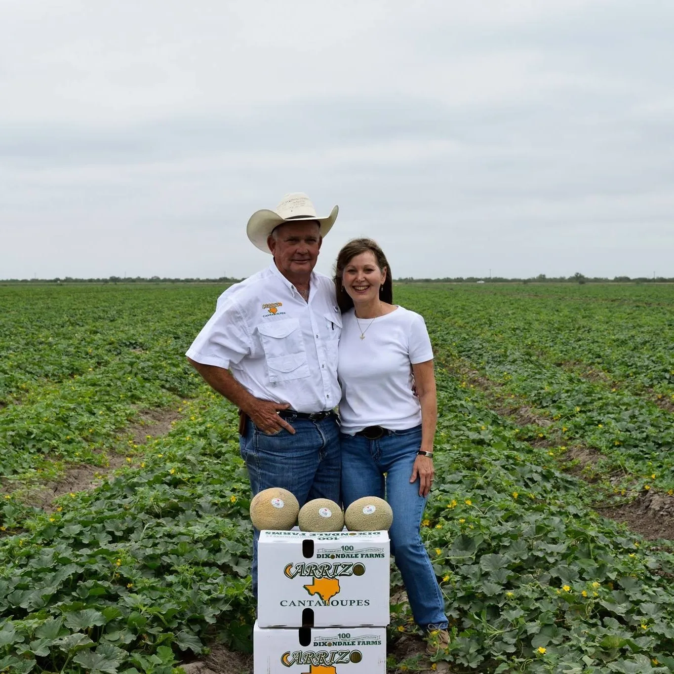 Dixondalefarms