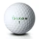 Dixon Golf logo