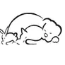 Logo Dierenkliniek Westpolder