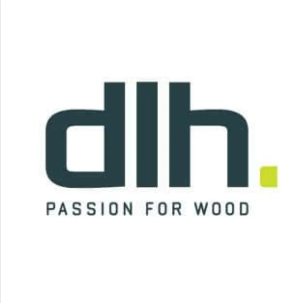 DLH Holdings logo