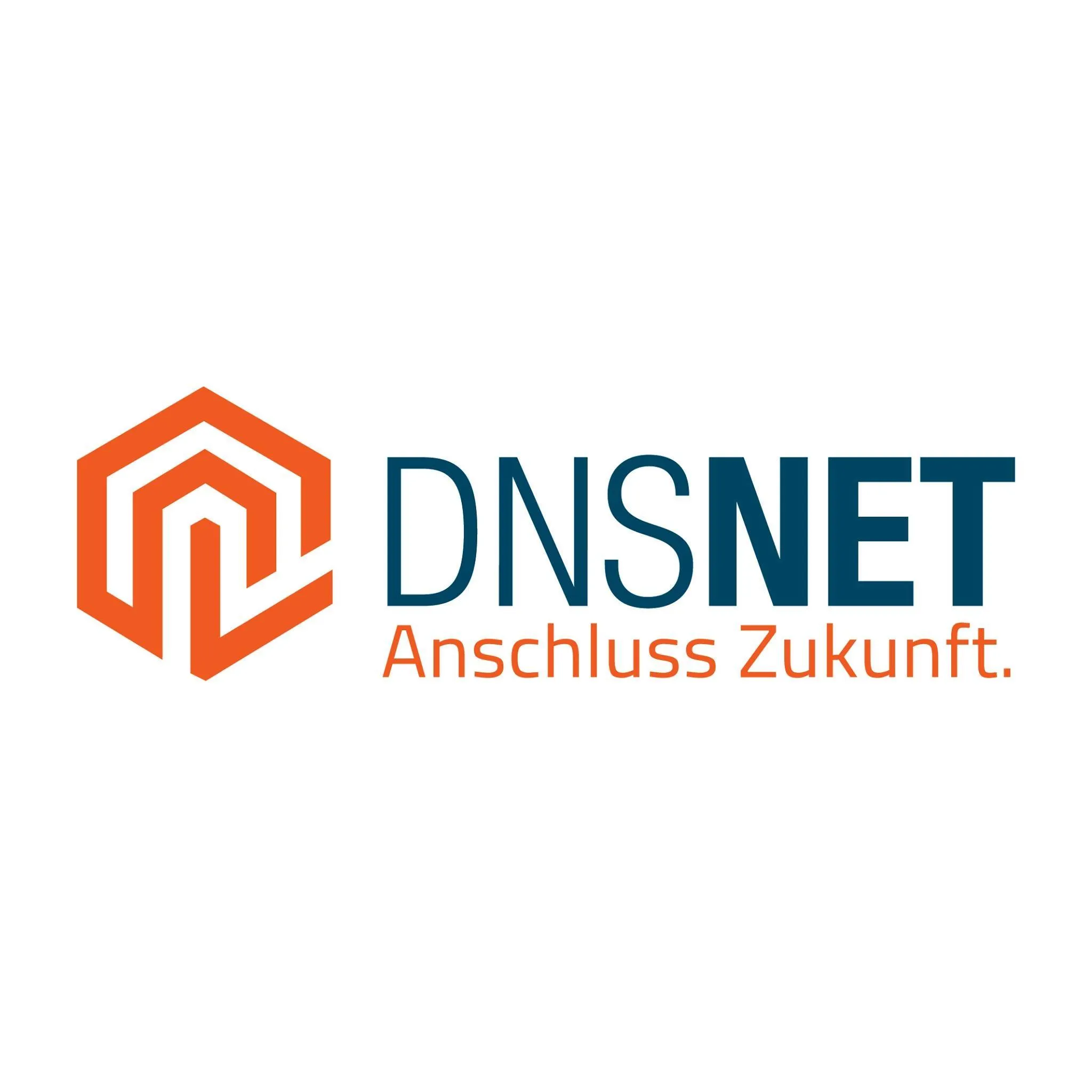 DNS:NET Internet Service GmbH logo