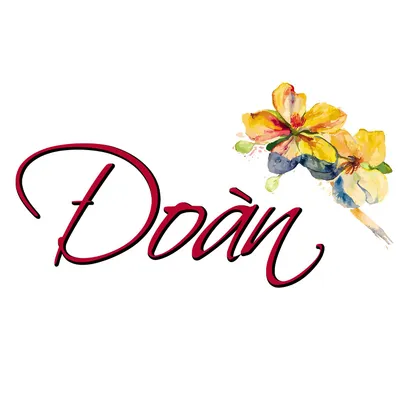 doanchaoc.com logo