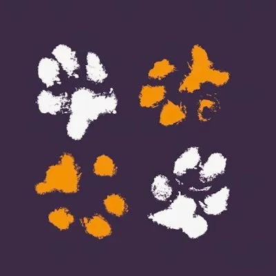 Dogs 4 Rescue logo