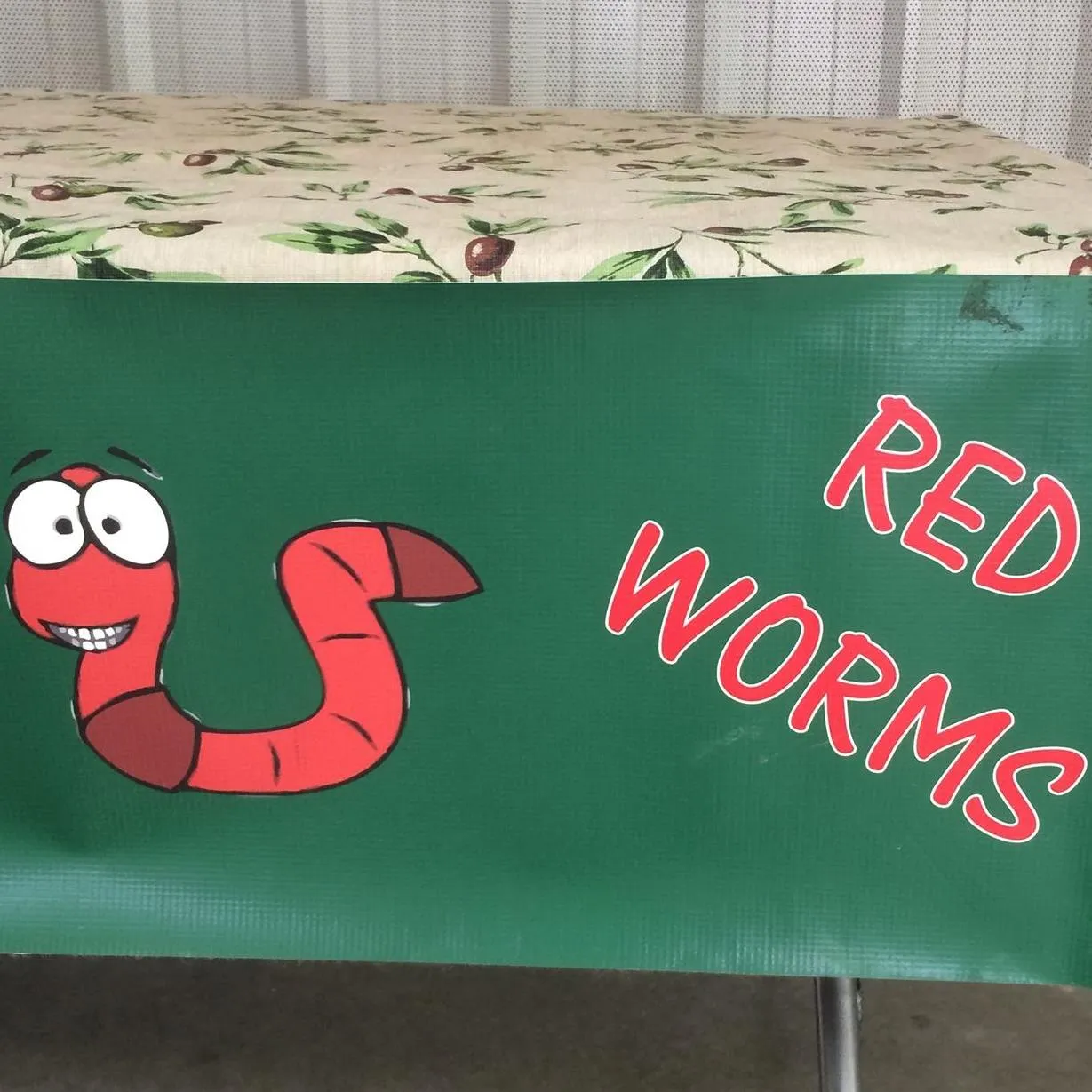 Doitwithworms