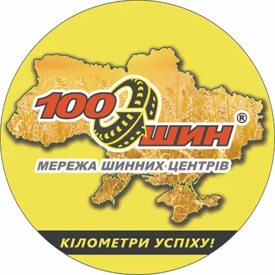 100shin.com.ua's icon