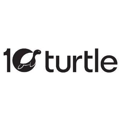 10turtle.com's icon