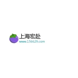 156629.com's brand icon