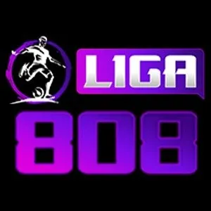19liga808.com's icon