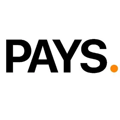 1payspos.com's icon