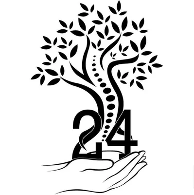 24boneschiropractic.com's icon