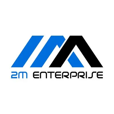 2msupport.com's icon