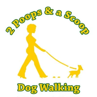 2poops.com's icon