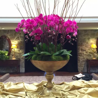 310flowers.com's icon