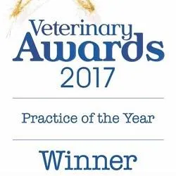 387vets.com's icon