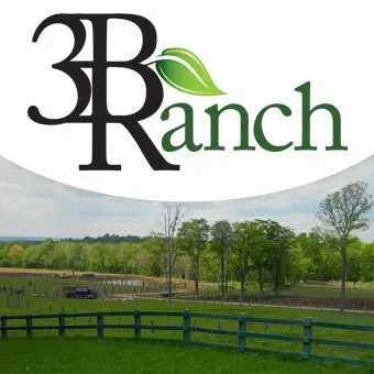 3branchct.com's icon