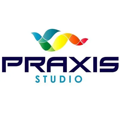 3dpraxisstudio.com's icon