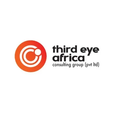 3rdeyeafrica.com's icon