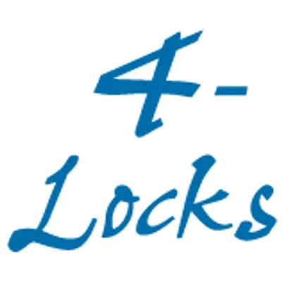4-locks.nl's icon