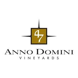47annodomini.it's icon