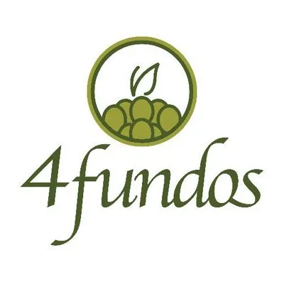 4fundos.pe's icon