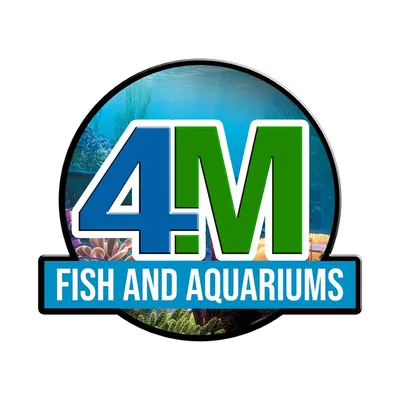 4mfish.co.za's icon