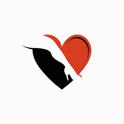 5280laseraesthetics.com's icon