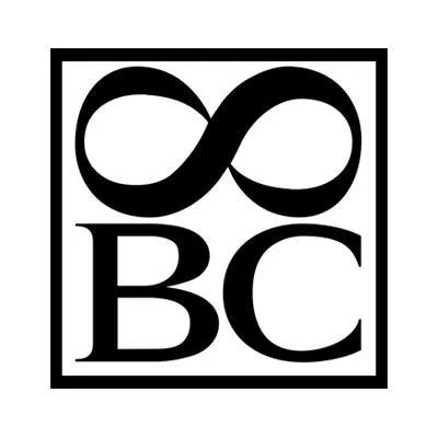 8bcpublishing.de's icon