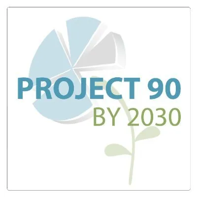 90by2030.org.za's icon