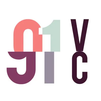 91vc.fund's icon