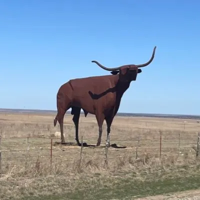 972ranch.com's icon