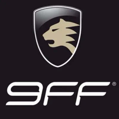 9ff.com's icon