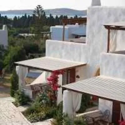 9muses-paros.gr's icon