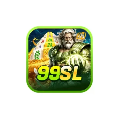 9sld.com's icon