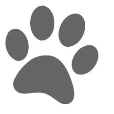 Service Dog Training Volunteer Opportunity Image