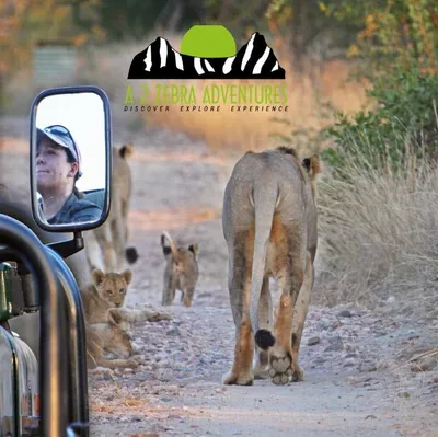a2zebraadventures.com's icon