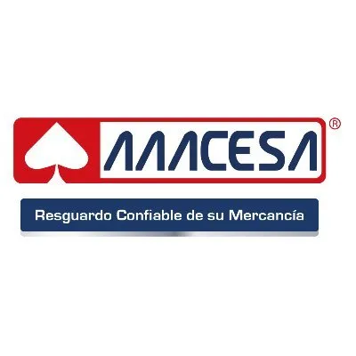 aaacesa.com.mx's icon