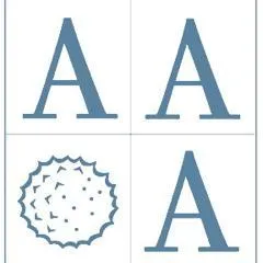 aaoallergy.org's icon