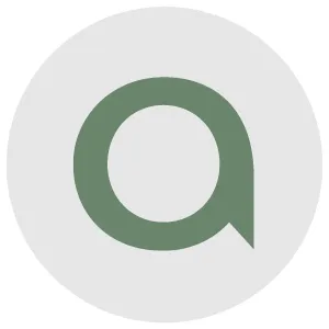 aaudit.no's icon
