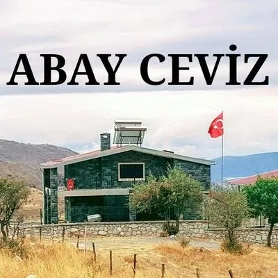 abayceviz.com's icon