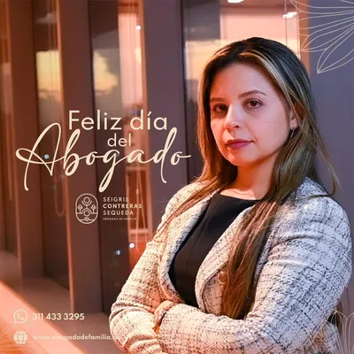 abogadodefamilia.co's icon