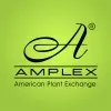 aboutamplex.com's icon