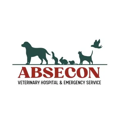 abseconvet.com's icon