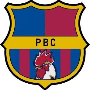 abusmatchmaker.nl's icon