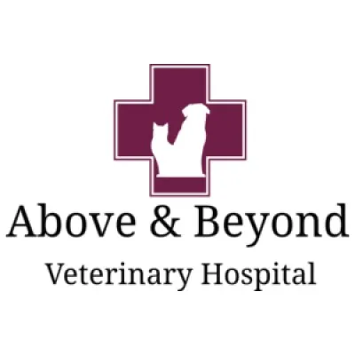 abvethospital.com's icon