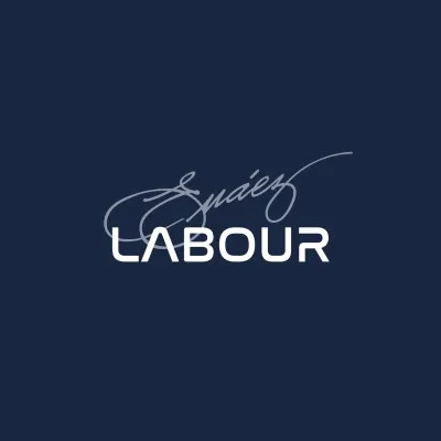 academylabour.com's icon