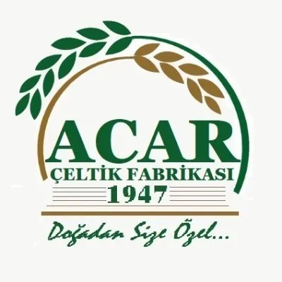 acarceltik.com's icon