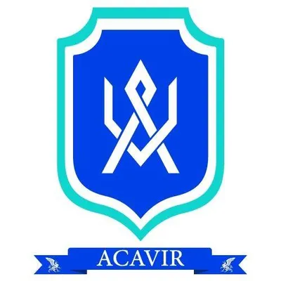 acavir.com's icon