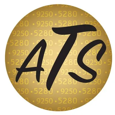 accountingsvs.com's icon
