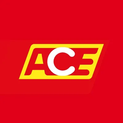 ace.de's icon